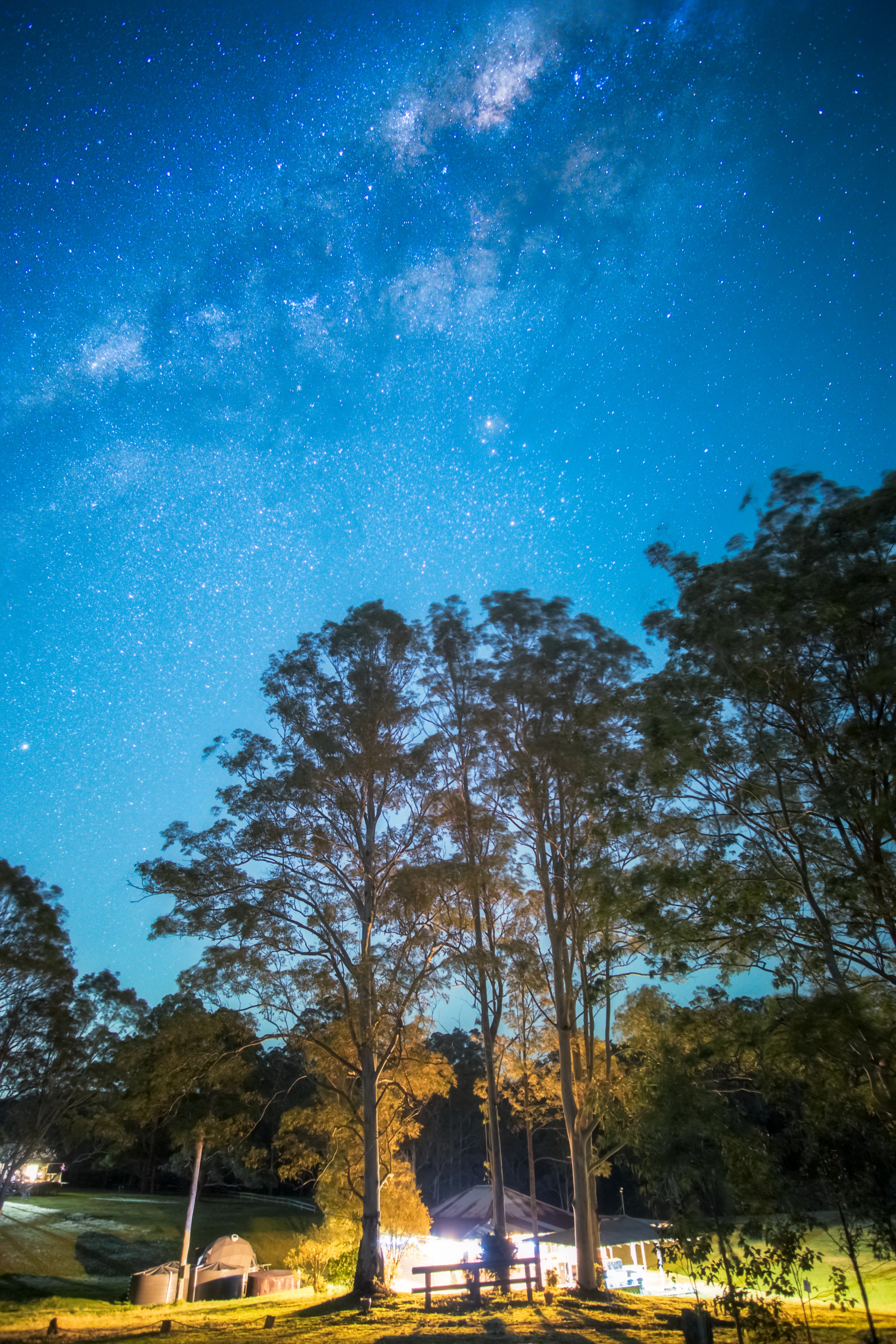Milky Way over the Lemon Tree property