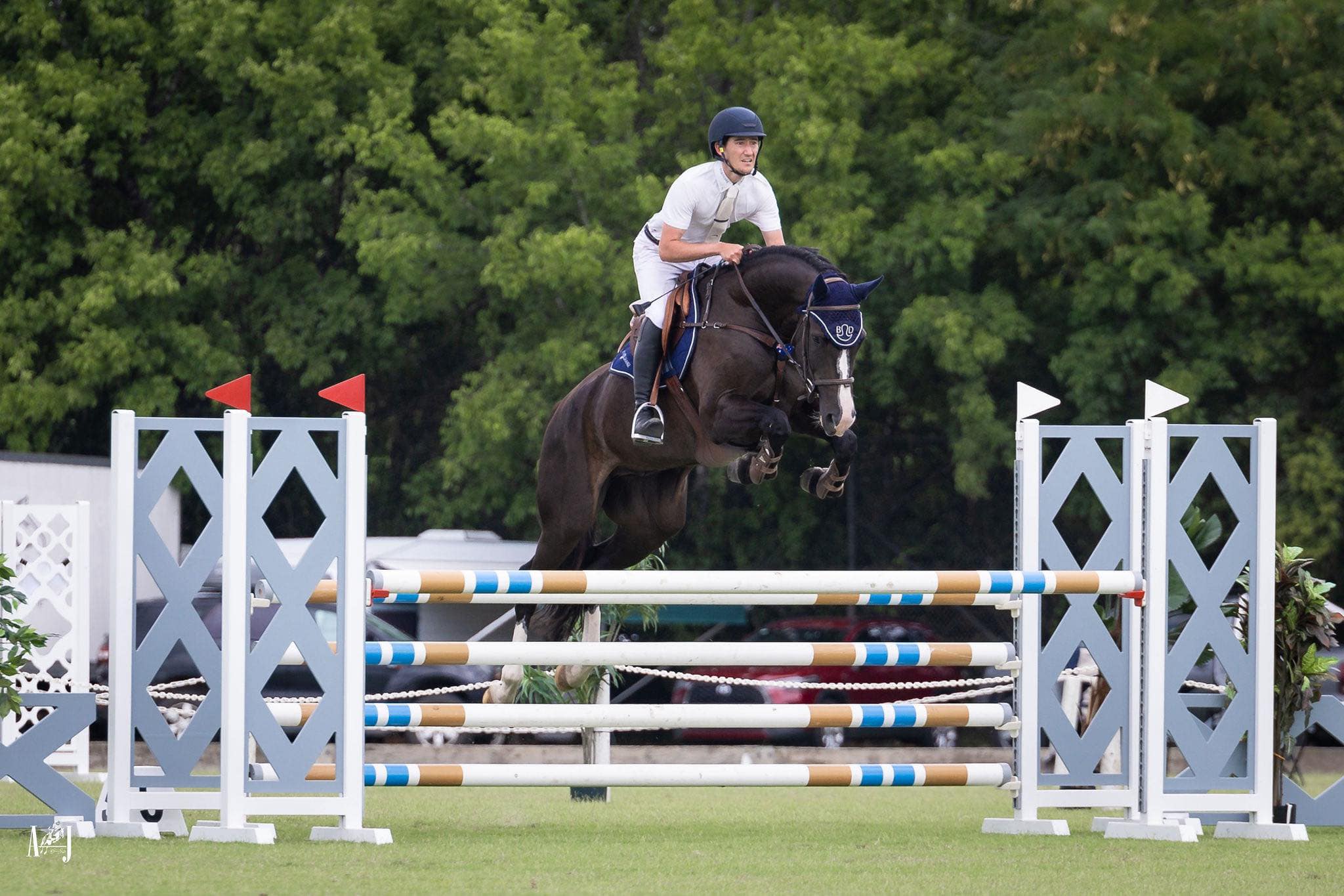 TM Christiano Ronaldo, showjumping